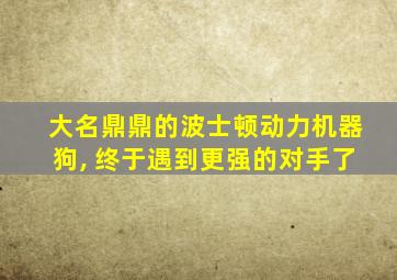 大名鼎鼎的波士顿动力机器狗, 终于遇到更强的对手了